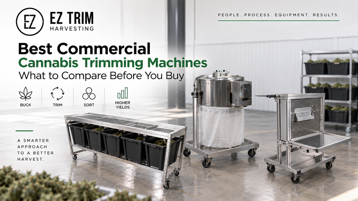 Best Commercial Cannabis Trimming Machines: What to Compare Before You Buy