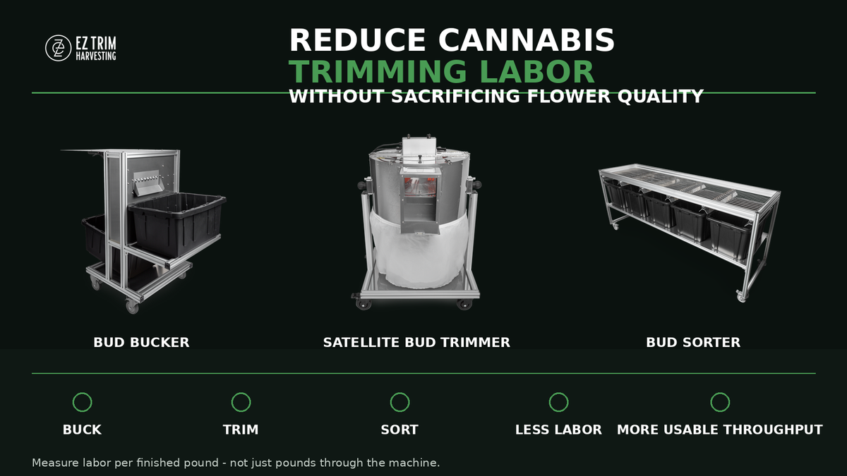 How to Reduce Cannabis Trimming Labor Without Sacrificing Flower Quality