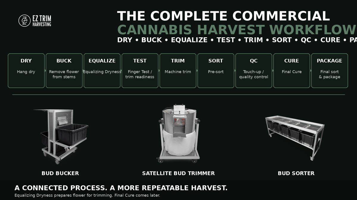 The Complete Commercial Cannabis Harvest Workflow: Drying, Bucking, Trimming, Sorting & Curing