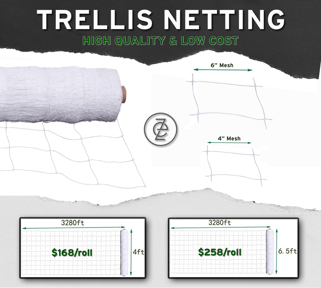 Trellis Netting
